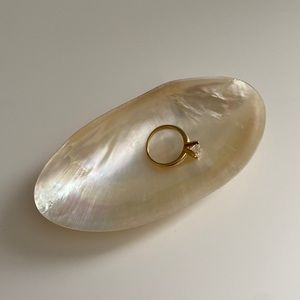 Sea Shell Mini Trinket Tray - Jewelry Dish - Ring Holder
